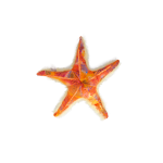 SOFT TOYS STAR FISH ORANGE10"