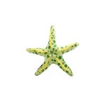 SOFT TOYS STAR FISH GREEN 11"
