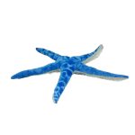 SOFT TOYS STAR FISH W/ MALDIVES 20"