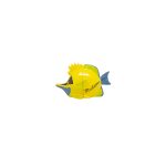 TROPICAL FISH MEMO CLIP B045 - Image 4