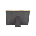 FRAME LIZARD POLY - Image 2