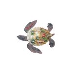 TURTLE POLY - Image 2