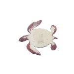 TURTLE POLY - Image 3