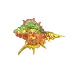 POLY SHELL W/RAINBO COLOUR