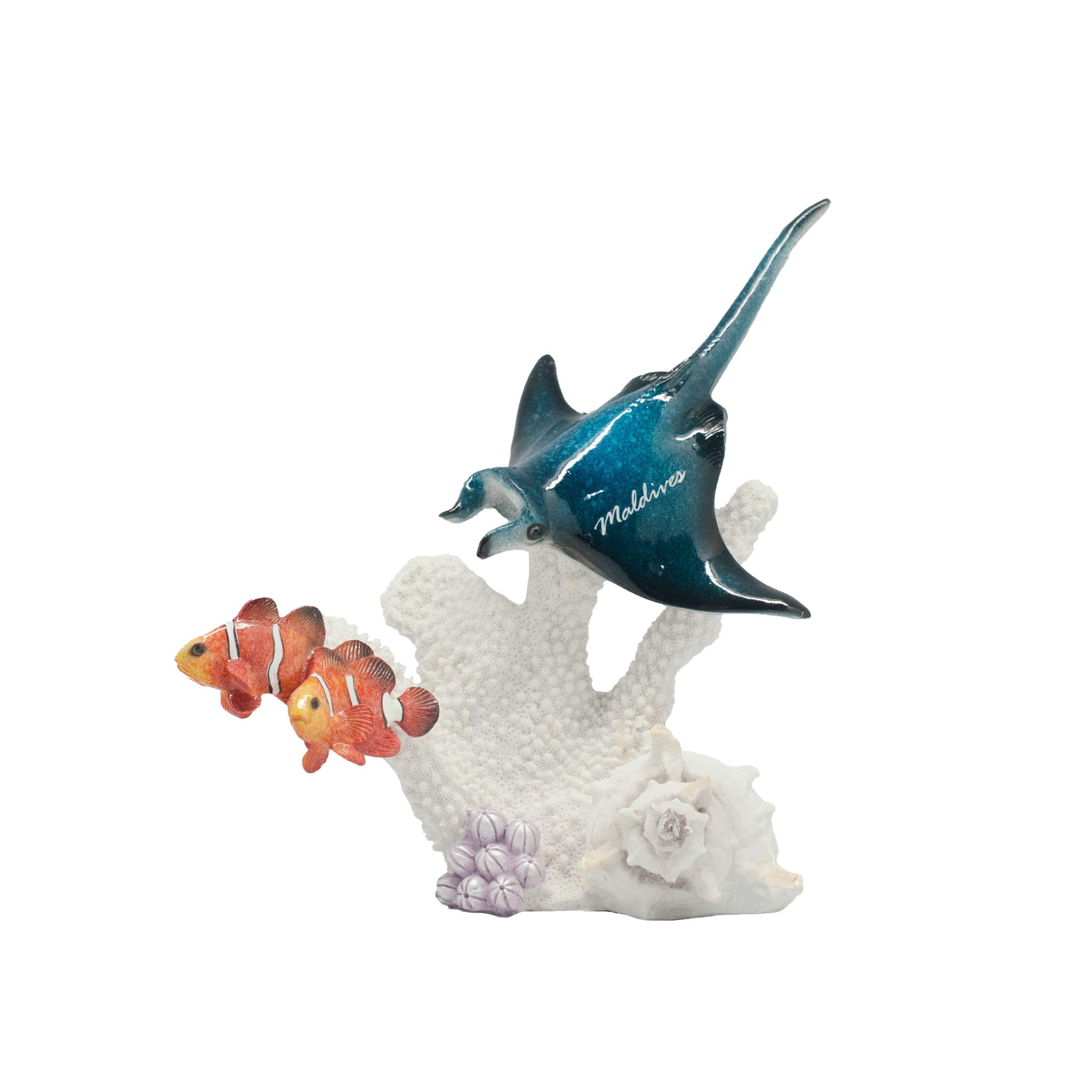 61169 (1) POLY MANTA ON SHELL CORAL - Image 1