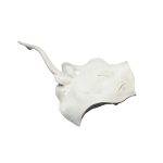 POLY MANTA SLEEPING MEDIUM - Image 2