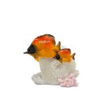 POLY TROPICAL ON HALF CORAL