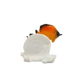 POLY TROPICAL ON HALF CORAL - Image 2