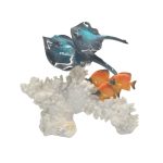 POLY 2 MANTA ON CORAL BASE