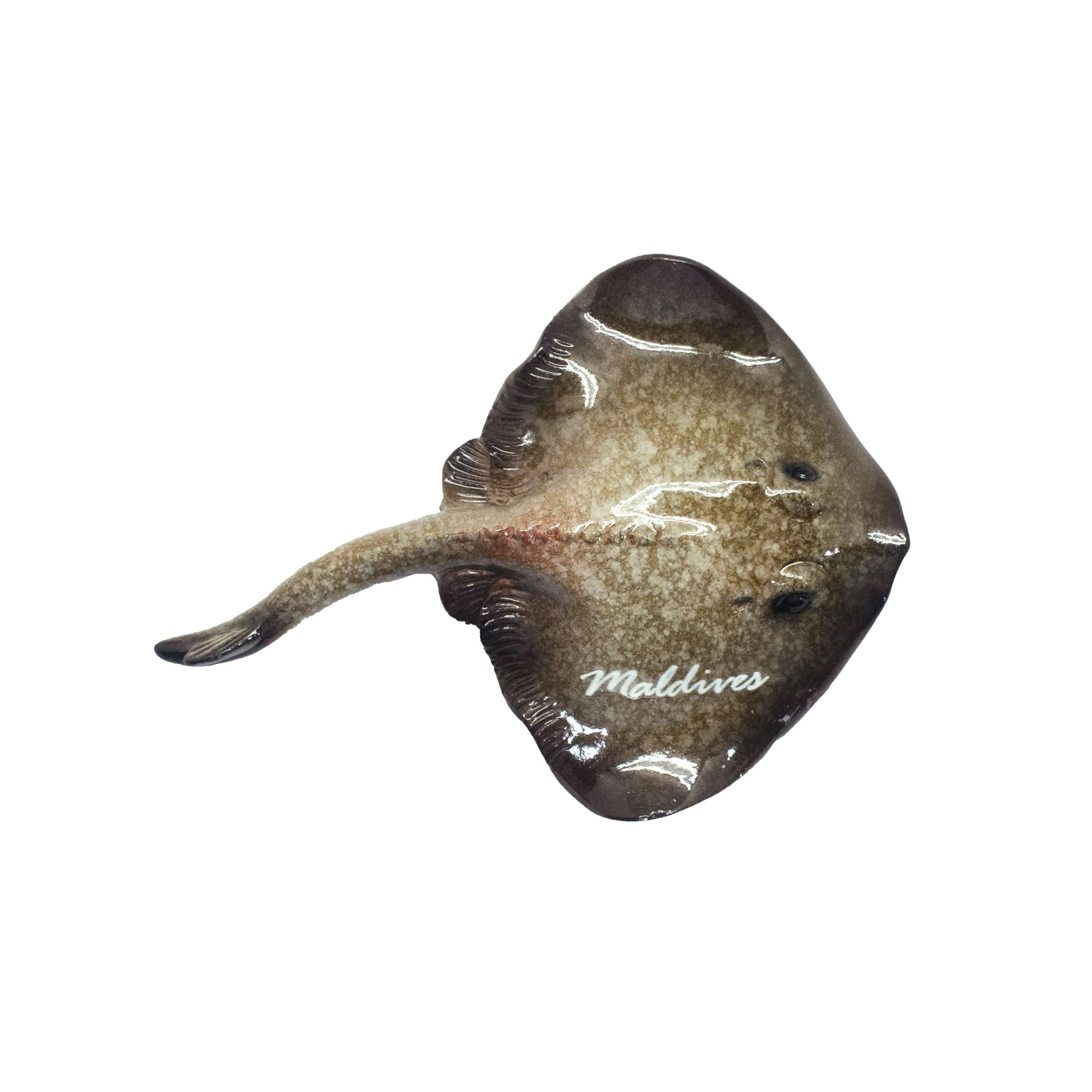 62008 (1) POLY GREY STING RAY MAGNET - Image 1