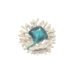 MAGNET,WITH STING RAY ON BASE,RESIN