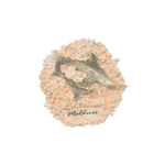 MAGNET,WITH 2 SHARK  ON BASE,RESIN