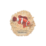 MAGNET,WITH NEMO ON BASE,RESIN