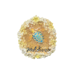 MAGNET,WITH MULTICOLOR TURTLE ON BASE,RESIN