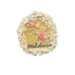 MAGNET,WITH MULTICOLOR 2 TURTLE ON BASE,RESIN