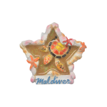 MAGNET,WITH COLORFUL TURTLE  ON BASE,RESIN STARFISH