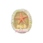 MAGNET,WITH COLORFUL STARFISH  ON BASE,RESIN