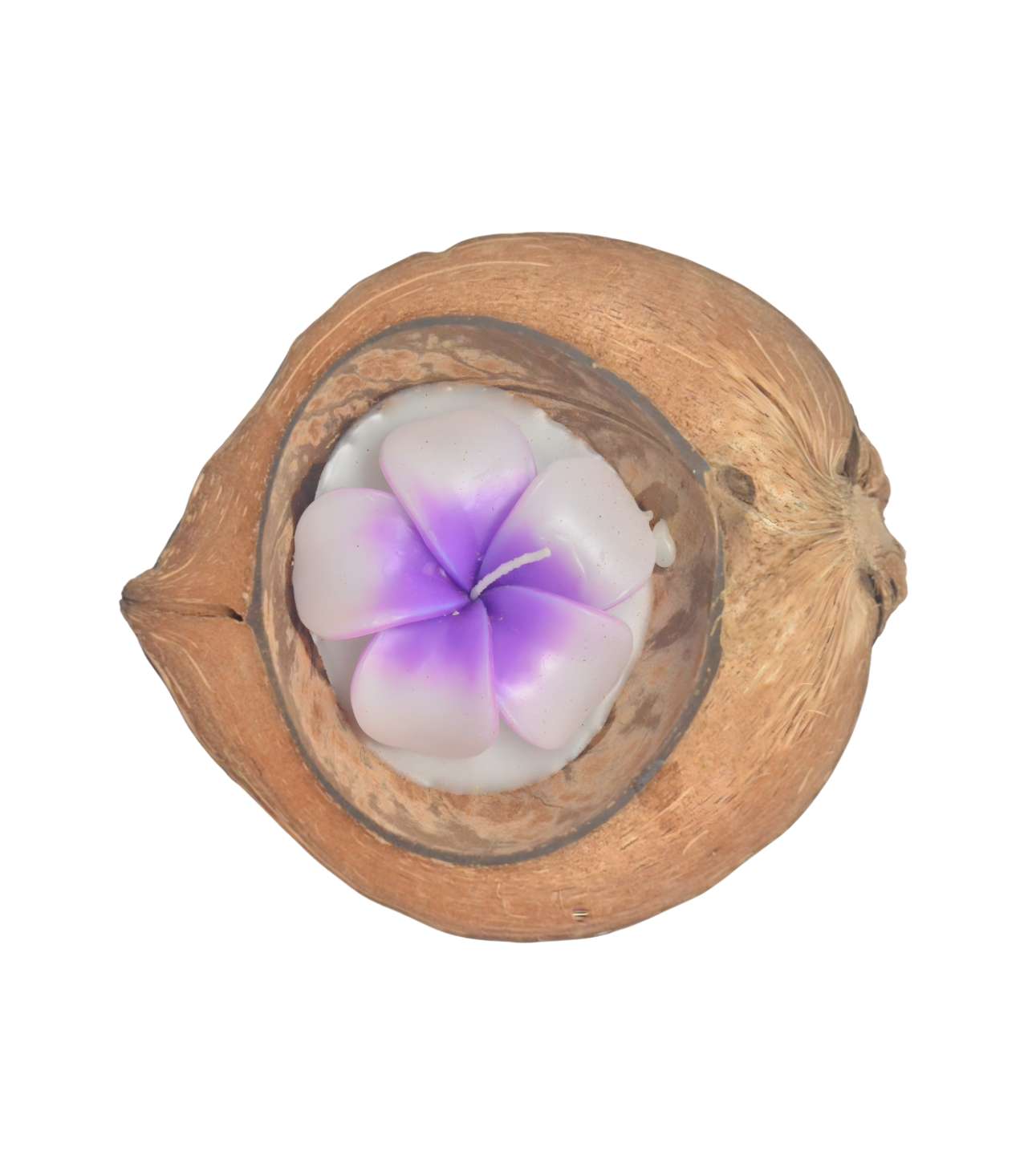 11537 BIG FLOWER CANDLE IN COCO SHELL - Image 1