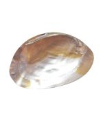 SHELL PLATE - Image 3