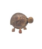 COCO SHELL CARTOON TURTLE STAN - Image 2