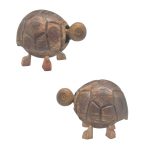 COCO SHELL CARTOON TURTLE STAN