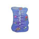 WOODEN MAP MAGENT 3PCS SET