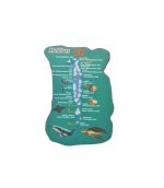 WOODEN MAP MAGENT 3PCS SET - Image 5