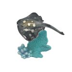 POLY SPOTTED STINGRAY ON CORAL