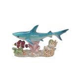 POLY SHARK ON CORAL W/DAN NEMO