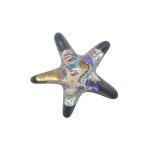 GLASS MAGNET STAR FISH W/SHEL