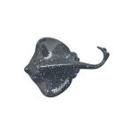 POLY STINGRAY BLUE DOT MAGNET 3.5"