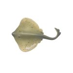 POLY STINGRAY GRAY MAGNET 3.5"