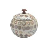 BAMBOO SHELL  APPLE BOX