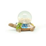 TURLE POLY GLASS BALL W/SHELL - Image 2