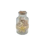 SHELL BOTTLE W/SHELL MALDIVES & STAR FISH 4"
