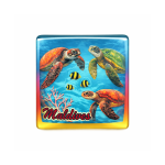 GLASS MAGNET SQUARE SINGLE UNDER WATER TURTLE 1.5"
