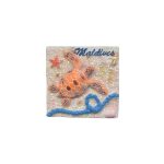 POLY SQUARE MAGNET W/ TURTLE & SHELL 2"