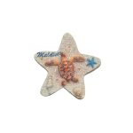 POLY STAR FISH MAGNET W/ TURTLE & SHLL 3"