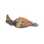 POLY TURTLE FLY W3 MALDIVES 6" - Image 2