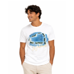 T- SHIRT ADULT PRINTED - MM